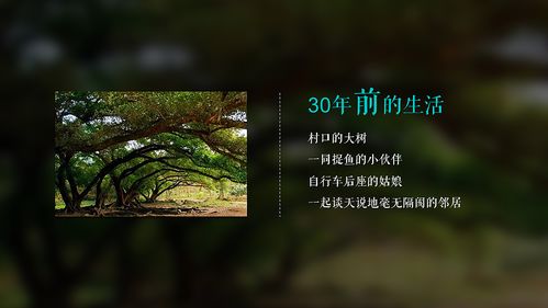 方圓地產·東江月島影視策劃案 一場關于理想棲居與光影藝術的交響